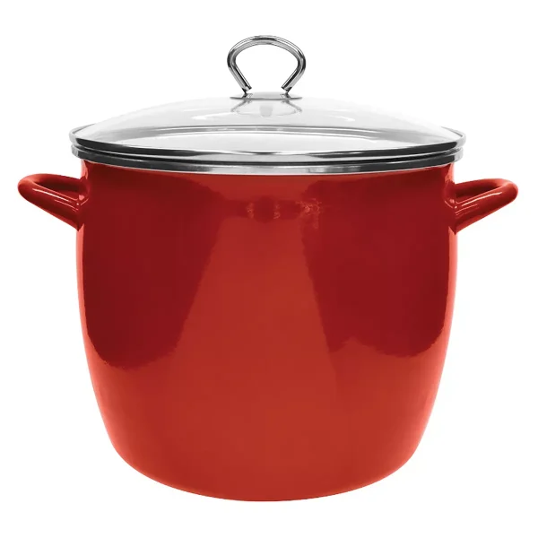 Enamel-on-Steel Stockpot with Glass Lid
